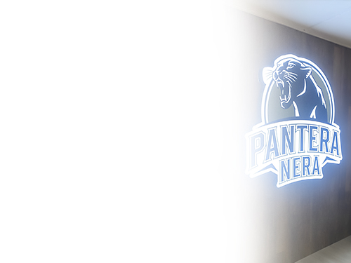 Экспертная консультация