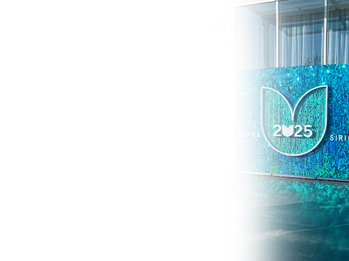 Опыт работы с наружной рекламой — 15 лет